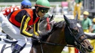 ソングラインの半弟2頭が同日V狙う 土曜東京にガードオブオナーとソニックラインが出走