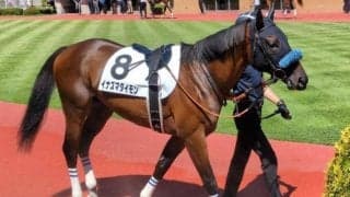 「ウマ娘」藤田晋オーナーの1億円馬 イナズマダイモンが初勝利なるか