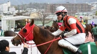 【スワンS想定馬・騎手】ウインマーベル、アドマイヤズームなど20頭