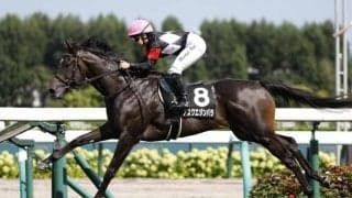 【サウジアラビアRC想定馬・騎手】アスクエジンバラ、ゾロアストロなど8頭