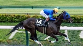 【今日の注目ポイント】東京でグリーンチャンネルCと京都でオパールS