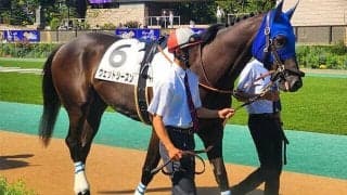 【グリーンチャンネルC】ウェットシーズンが3連勝でオープン初勝利なるか