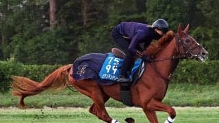 【凱旋門賞】ついに悲願達成なるか　前哨戦からの上積みもある日本調教馬３頭のなかで最もチャンスがあるのは？