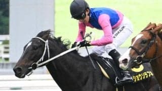 【オパールS結果】メイショウソラフネがゴール前の接戦を制す