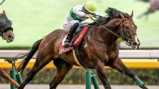 【毎日王冠予想】前走のレース格で狙い方が変わる!? 前走GIIIでの敗戦がネックとなる実力馬とは