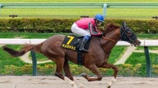 【グリーンチャンネルC】オメガギネスが同レース2勝目…豪快に突き抜ける