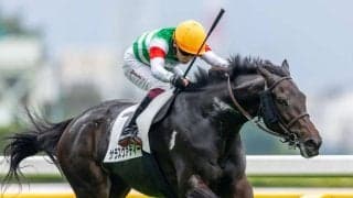 【東京7R】未勝利馬サラスヴァティーがライバルを完封