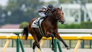 【新馬/東京5R】サングレーザー産駒 カレントゥルーシーがデビューV