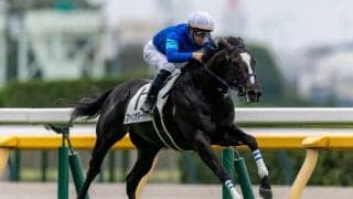 【新馬/東京3R】ファインニードル産駒 ファインサマーデイがデビューV