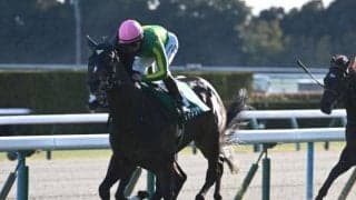 【毎日王冠前日オッズ】サトノシャイニングが2.3倍で1番人気