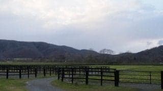 大雨被害のホースフレンドファーム…全30頭無事も自力での復旧は困難、代表「お力添えを」