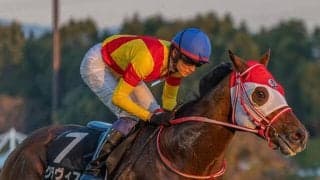 【赤富士S】兄姉2頭が海外G1馬 グラヴィスがオープン入りなるか