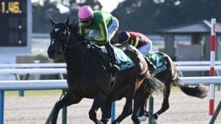【毎日王冠予想】過去10年で8勝の1番人気馬に死角は？ 過去データから探るGII毎日王冠