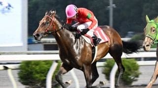 【高知・潮菊特別】2着続きに終止符！クスダマがデビュー5戦目の初白星