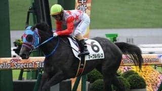 【京都4R新馬戦結果】アドマイヤマーズ産駒マーブルパレスが人気に応えてV