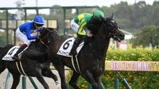 毎日王冠当日の東京芝は良 展開のカギを握るのは