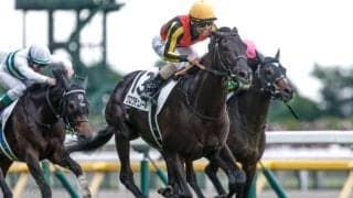【凱旋門賞】悲願の初制覇へ日本馬3頭が挑む 昨年2着馬や“オークス三冠馬”など欧州勢も強力