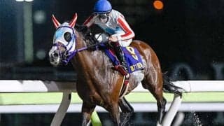 【大井・ジャパンダートクラシック枠順】ダート三冠がかかるナチュラルライズは8枠15番