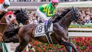 【毎日王冠・馬体重】サトノシャイニングは498kg(+2)、チェルヴィニアは500kg(+16)