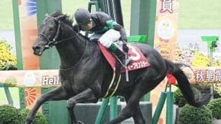 【京都大賞典結果】ディープモンスターが内から抜け出しV！ 7歳秋の重賞初制覇