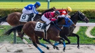 【新馬/東京6R】10番人気ゲームカレンダーの末脚が炸裂