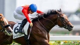 【新馬/東京5R】コントレイル産駒 ゴーイントゥスカイがデビューV