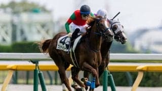 【東京3R】単勝16番人気フェーダーローターが波乱を演出