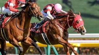 【スワンS】ウインマーベル、アドマイヤズームらが登録