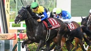 【秋華賞】カムニャック、エンブロイダリーらが登録