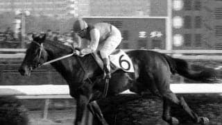 『ウマ娘』ではスーパーカーを愛車に持つ異色の存在　「史上最強馬」とも評されるマルゼンスキーの破格の強さ