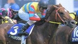 「デジタルの日」にアグネスデジタルのローテを振り返る