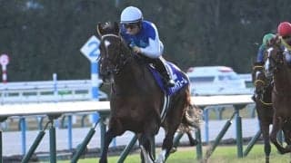 【スワンS見どころ】実績のあるコースで巻き返すアドマイヤズーム