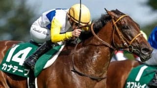 【アイルランドT見どころ】6歳にして本格化したカナテープ