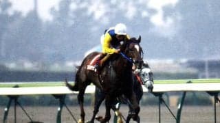 スワンSの勝ち時計ランキング 約30年前の記録は今なお破られず