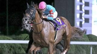 【大井・東京盃枠順】重賞連勝中のヤマニンチェルキは6枠12番