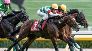 【毎日王冠】売上は65億9668万7400円で昨年より約5億円減少