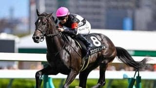 【サウジアラビアRC想定騎手】アスクエジンバラは岩田康誠騎手、ゾロアストロはC.ルメール騎手