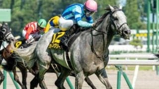 【スワンS】高杉吏麒騎手が重賞初制覇へ 伏兵グレイイングリーンで一発狙う