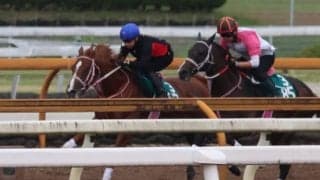 セレクトセール1歳で2億円 ショウナンバンライが日曜京都で初陣/関西馬メイクデビュー情報