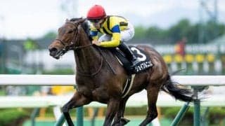 【秋華賞出走馬決定順】収得賞金1500万円で4分の1抽選 フルゲート18頭に対して22頭登録