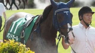 【アイルランドT想定騎手】ボンドガールはC.ルメール騎手、セキトバイーストは浜中俊騎手