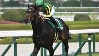 【AI予想・スワンS】直線の距離に惑わされないことが重要!? 本命候補は近走の敗戦から巻き返しに燃える3頭