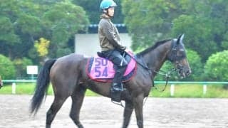 GI・6勝イクイノックスの全妹 イクシードが日曜東京で初陣/関東馬メイクデビュー情報