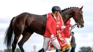 レーベンスティールが親仔制覇 毎日王冠＆京都大賞典を血統で振り返る