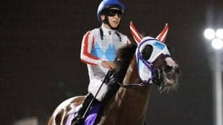 【JDC】三冠がかかるナチュラルライズは8枠15番へ