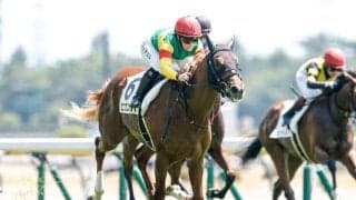 【サウジアラビアRC展望】レース間隔と前走内容を重視、エコロアルバが重賞初制覇へ