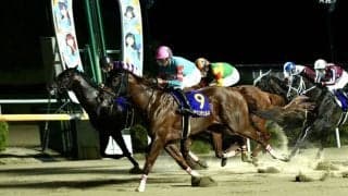 【東京盃】ヤマニンチェルキは6枠12番へ