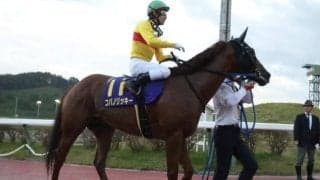 コパノリッキーやラストインパクトの母の父 超良血ティンバーカントリーを深堀り