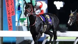 坂井瑠星騎手のGI級初制覇 ダノンファラオの勝利から5年