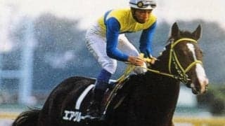 痛恨のロスから瞬時の加速 先々の大活躍を感じさせた30年前のいちょうS